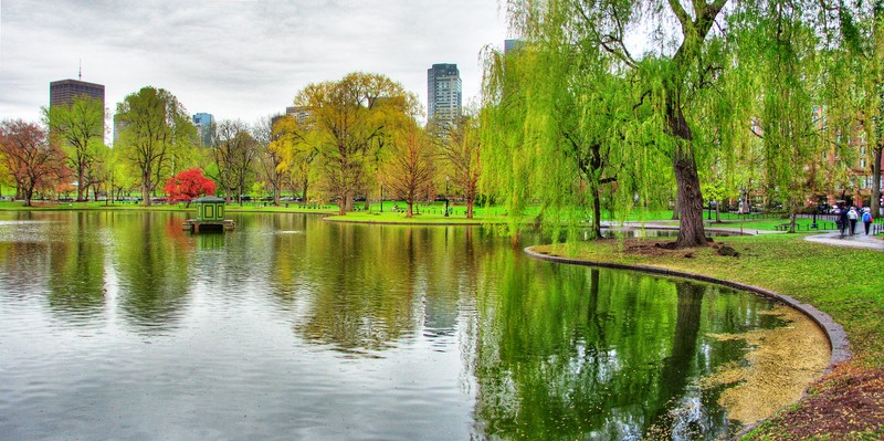 Panorama of the Boston Public Garden (image from Wikimedia)