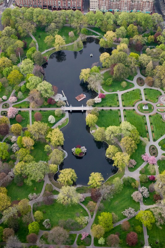 Aerial view of the garden (image from the Friends of the Public Garden)