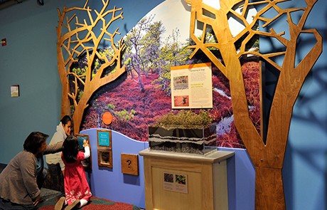 Native Voices exhibit (image from The Boston Children's Museum)