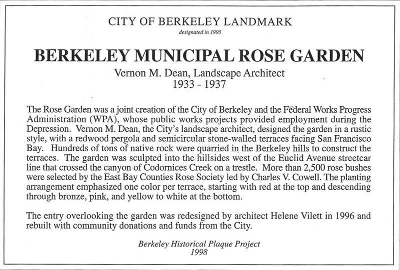 Berkeley Municipal Rose Garden