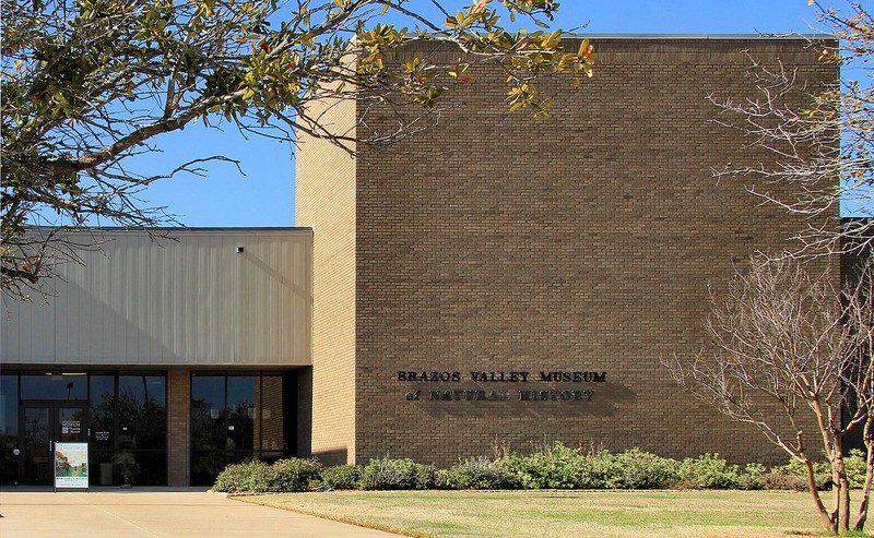 Originally founded in 1961, the Brazos Valley Museum of Natural History is a science and natural and cultural history museum.