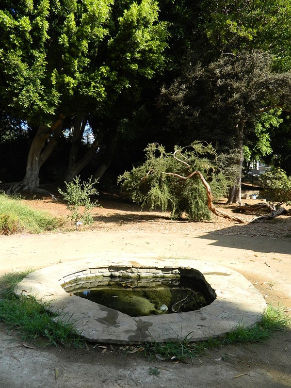One of the springs at the site