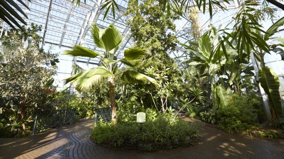 Lena Meijer Tropical Conservatory