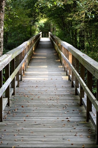 Part of the battlefield's walking trails.