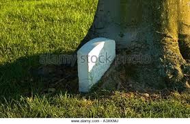 One of the more peculiar headstones. A tree grew around this headstone.