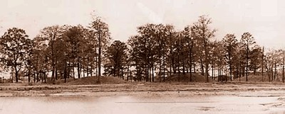 The Norton Mound group as seen from the Grand River