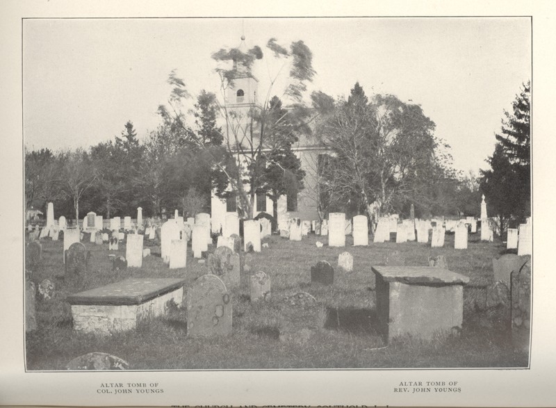 Photograph, Plant community, Headstone, Land lot