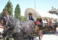 Wagon Rides
