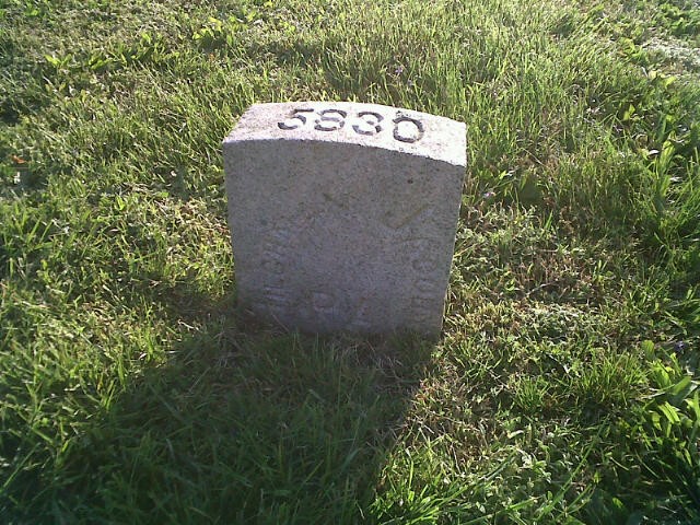 Plant, Headstone, Cemetery, Grass