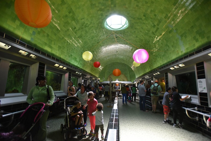 Visitors enjoying the aquarium's exhibits