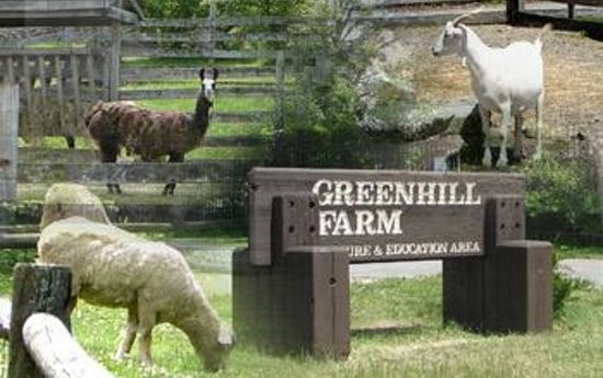Green Hill Park Farm (image from Trip Advisor)