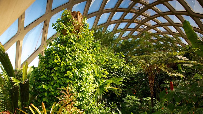 Inside the conservatory (image from Expedia)