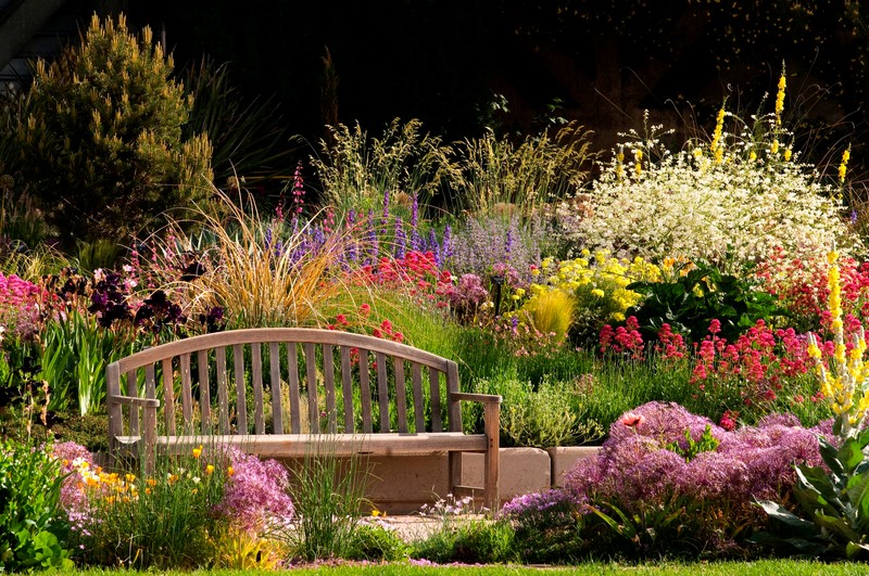 Drought-tolerant "Smart Garden" (image from Denver Water Blog)