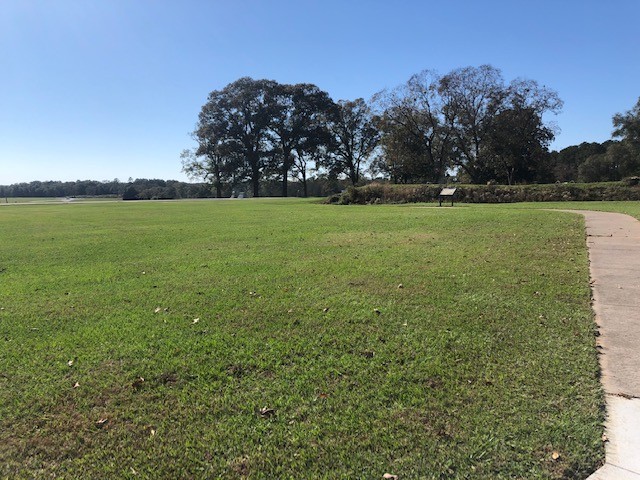 Grass, Plain, Land lot, Natural landscape