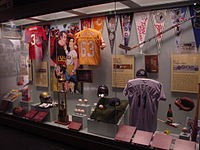 History of Tampa's Sport Franchises exhibit 