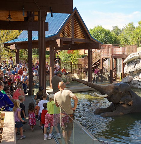 Toyota Elephant Passage (image from the Denver Zoo)