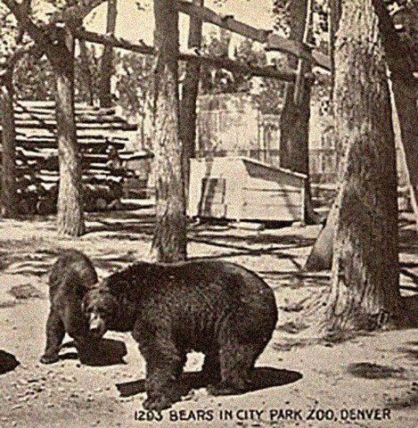 Historic Bear Mountain, the zoo's oldest exhibit (image from the Denver Zoo)