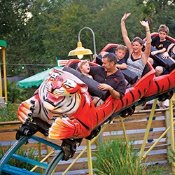 Tiger Rollar coaster at the zoo