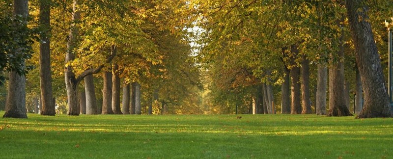 The park grounds (image from the City of Denver)