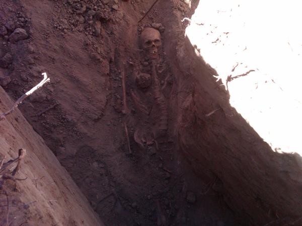 Skeletal remains uncovered in Cheesman Park in 2012 (image from The Denver Post)