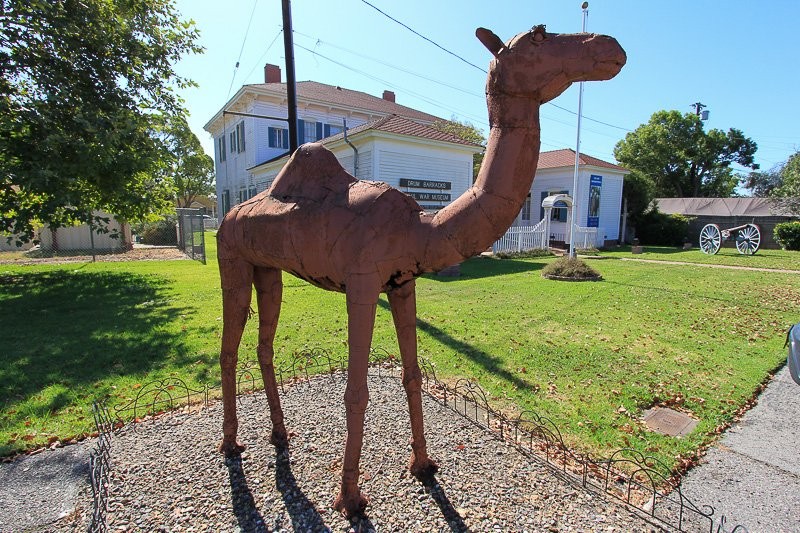 In front of the Museum is a sculpture of a camel in honor of the failed U.S. Camel Corps that was based in the area. Image obtained from Allard Real Estate.