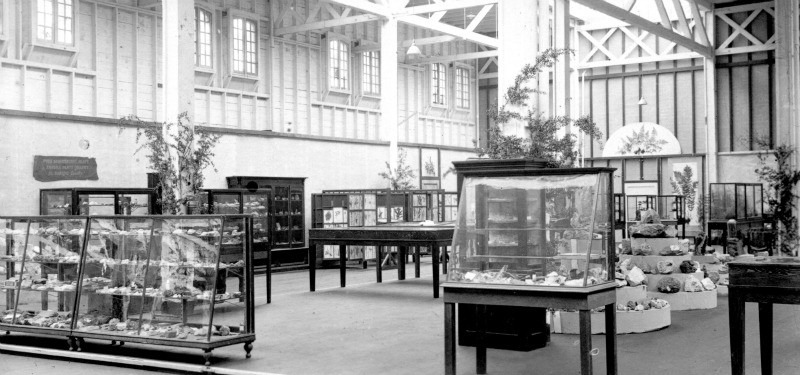 Exhibit photograph from the early decades of the museum's operation. Photo courtesy of the San Diego Natural History Museum.