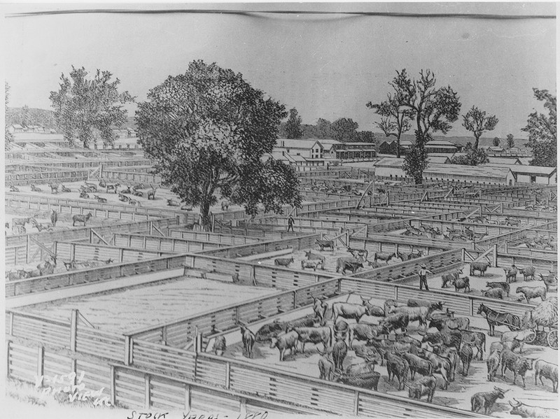 Drawing of livestock pens in 1880