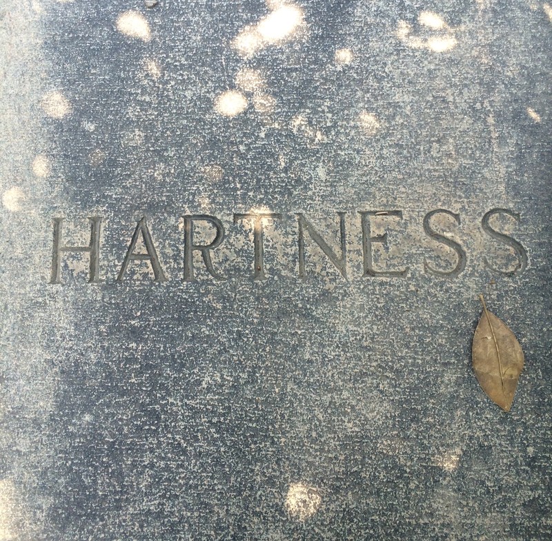 The name "Hartness" is inscribed in the sidewalk directly in front of this house. This must have been added sometime between 1928 and 1969.