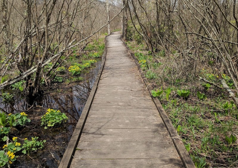 This tour takes users around the eight-acre Round Glade and the twenty-eight-acre Flag Glade/