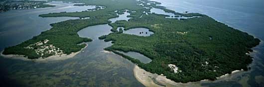 Weedon Preserve