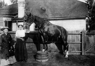 An elderly Mattie Silks (far left, in hat) poses with one of the racehorses she acquired for her stable.