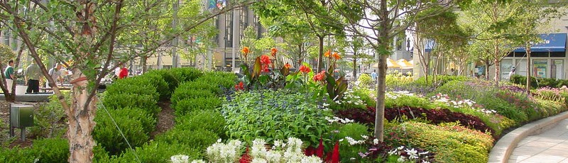 Spring plantings in the park (image from Campus Martius Park)