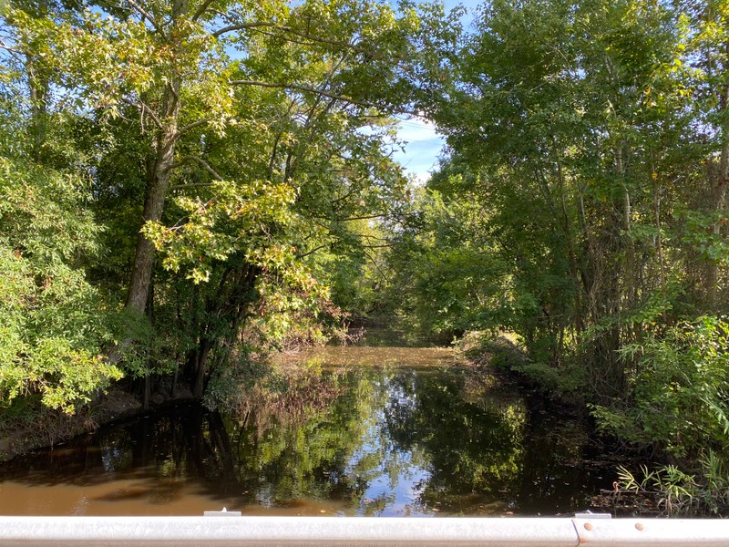 Water, Natural landscape, Tree, Sunlight