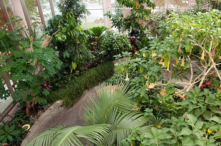 The butterfly house (image from the Pacific Science Center)