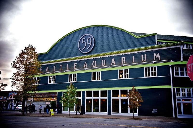 Seattle Aquarium (image from Seattlewatching)