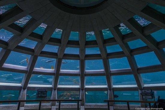 The Underwater Dome (image from Trip Advisor)