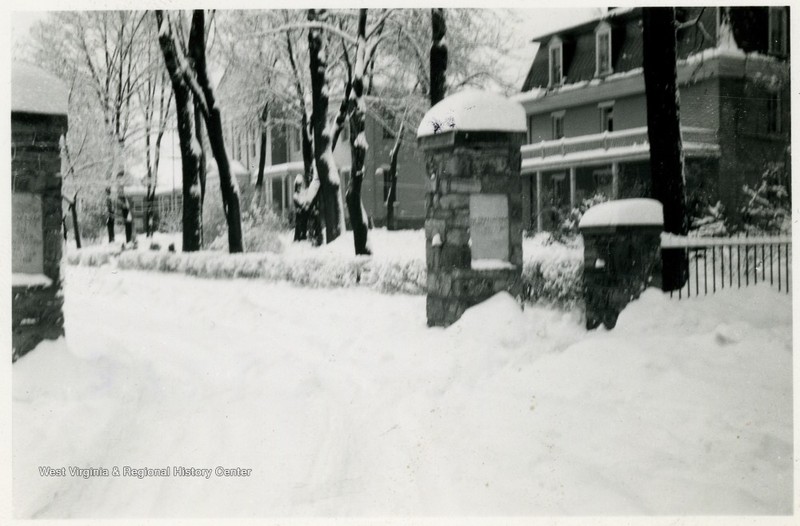 Snow, Tree, Building, Freezing