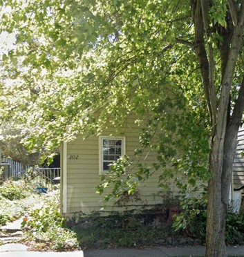 Plant, Building, Window, Tree