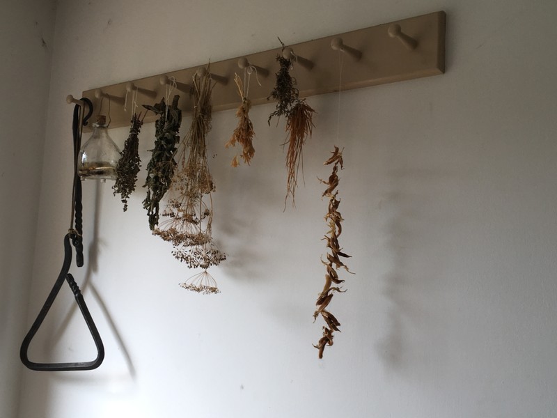 Drying herbs and vegetables