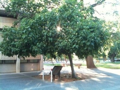 The marker is located near Olson Hall