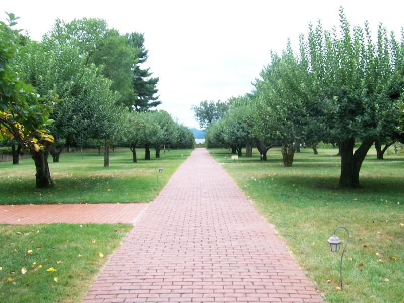 Red Brick Path through the Apple Orchard