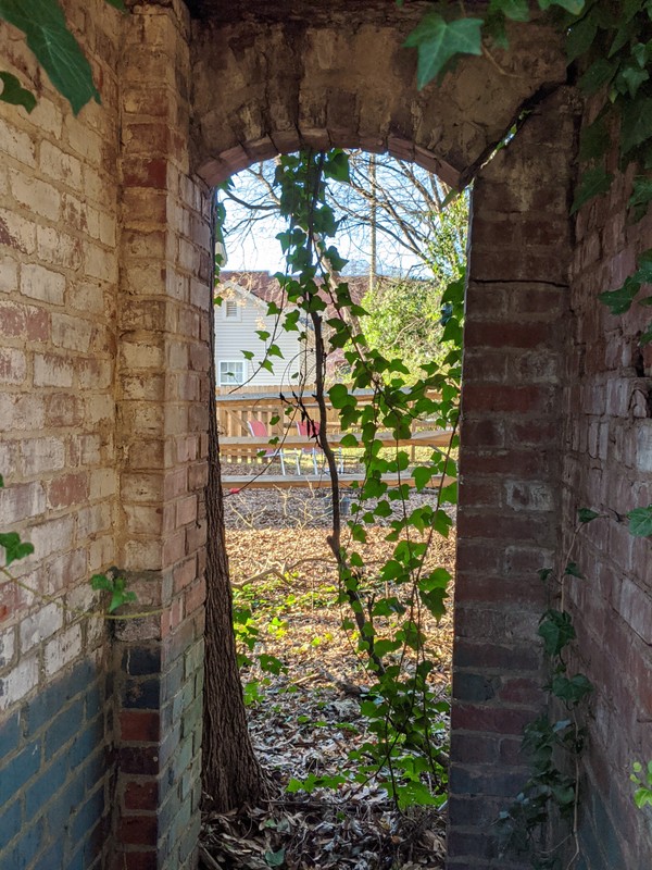 Plant, Building, Green, Wood