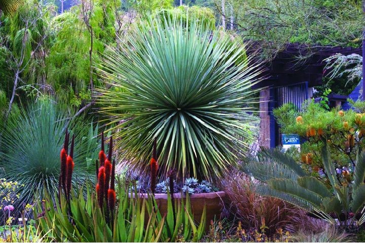 Entrance to the UC Botanical Garden at Berkeley (present day)