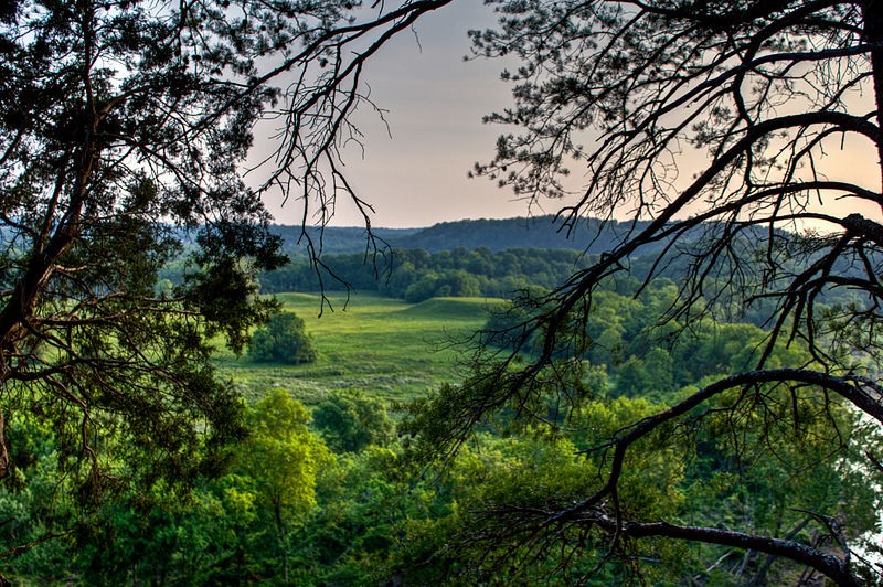 View from Mace Bluff