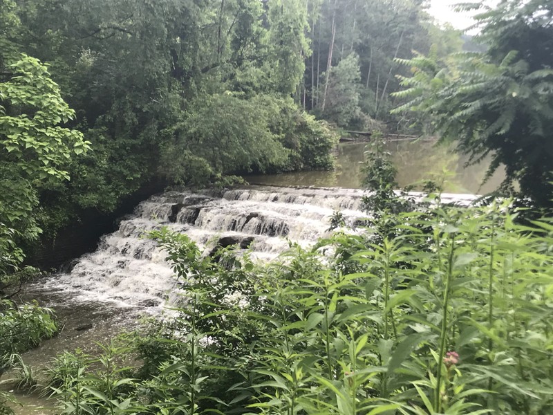 White water cascades down a series of steps from a lake into a stream. The banks on both sides are full of green trees and other plants.