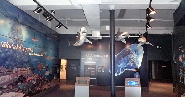 View of one of the exhibits in the museum