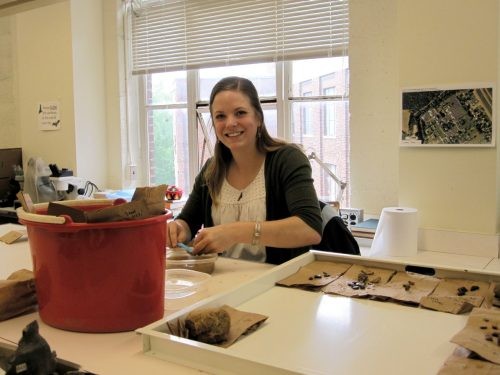 A graduate students works in one of the museum's labs