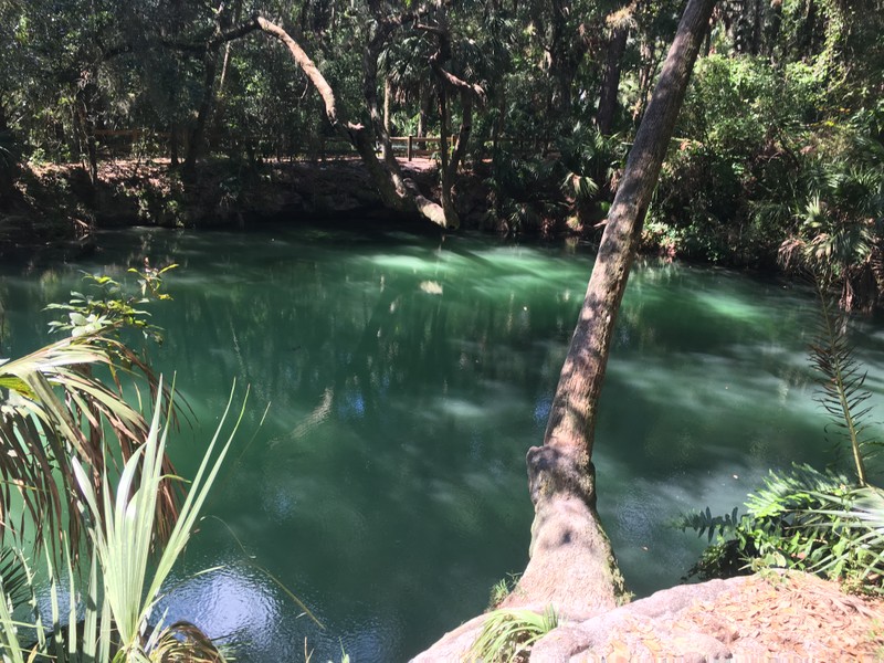 The other side of the spring overlook at Green Springs.