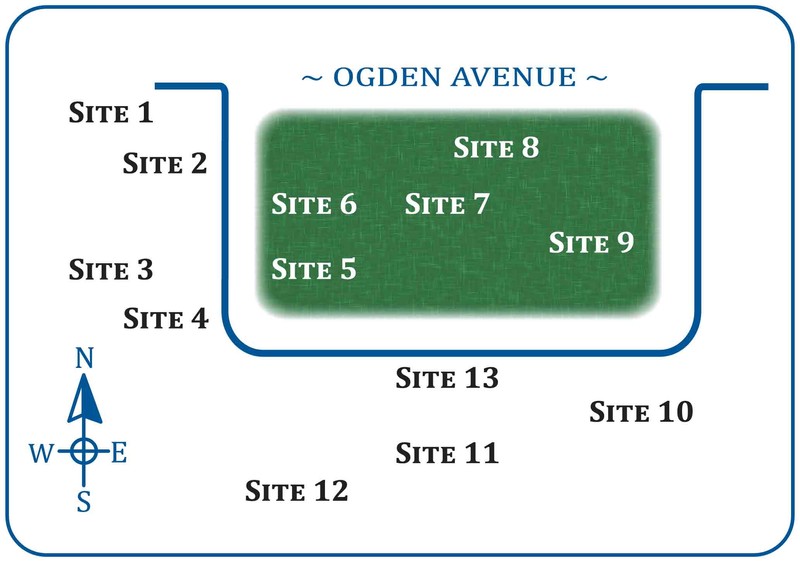 Historic plots in Lisle Cemetery