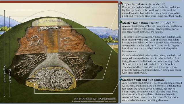 A detailed view of inside the mound.